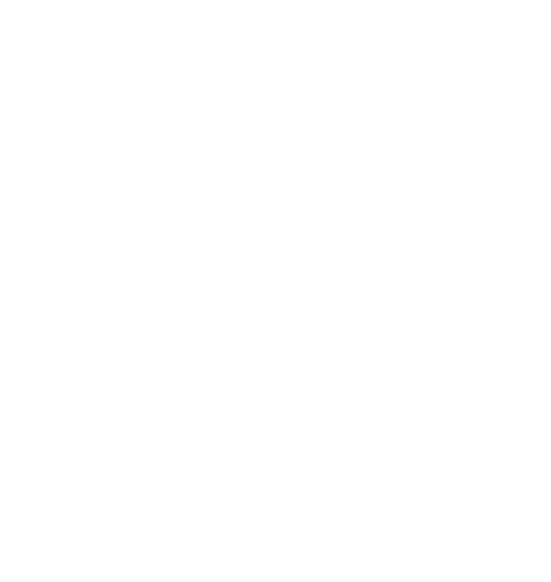 Ignis Vitae